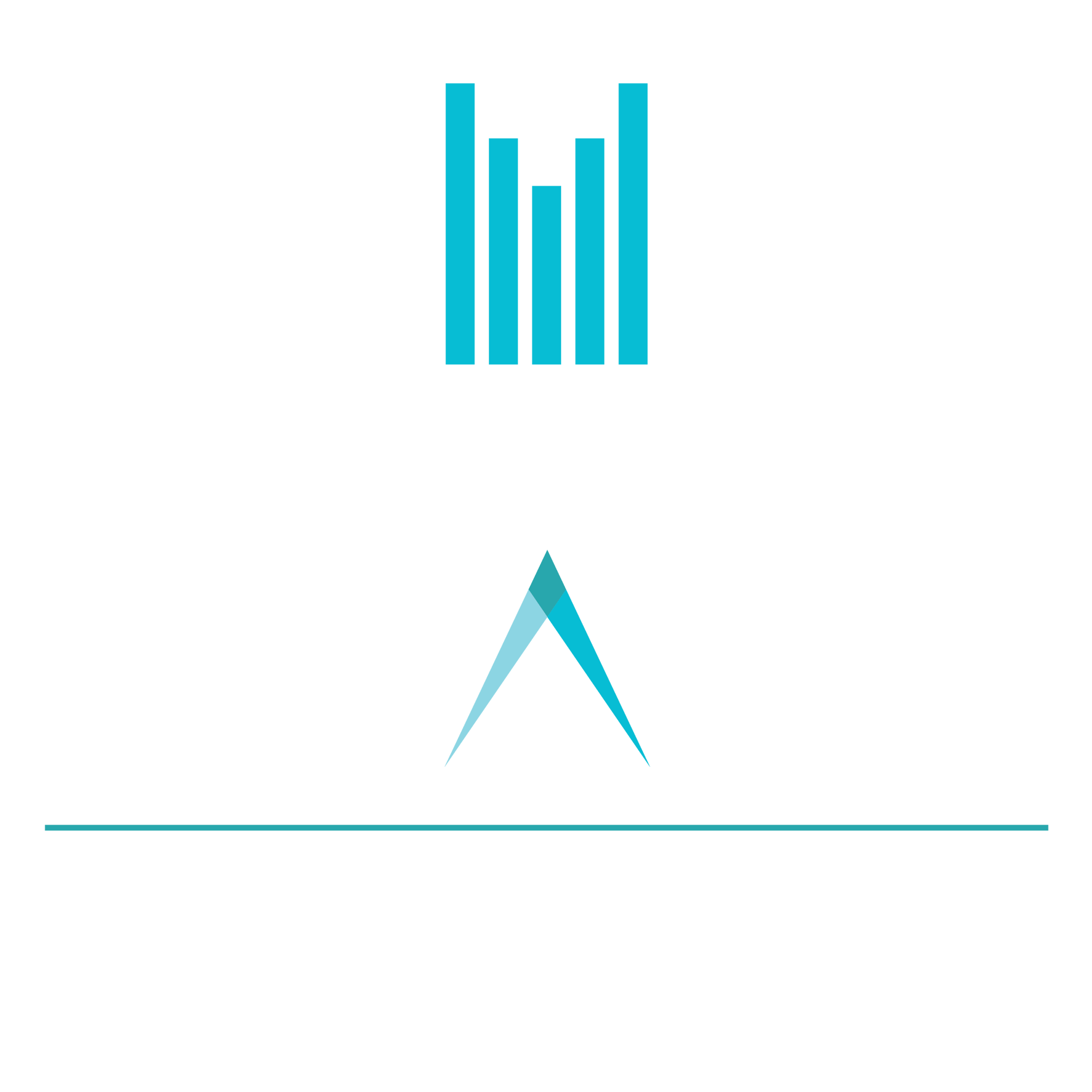 Millennium-Place-Marina2